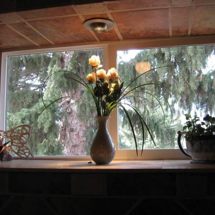 Mystic Portal 420 Guesthouse Colorado Springs Dış mekan fotoğraf